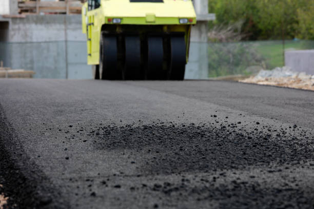 Best Driveway Pavers Near Me  in Belgium, WI